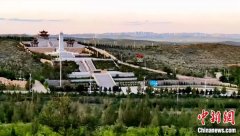 为服装产业提供了充足的原料保障